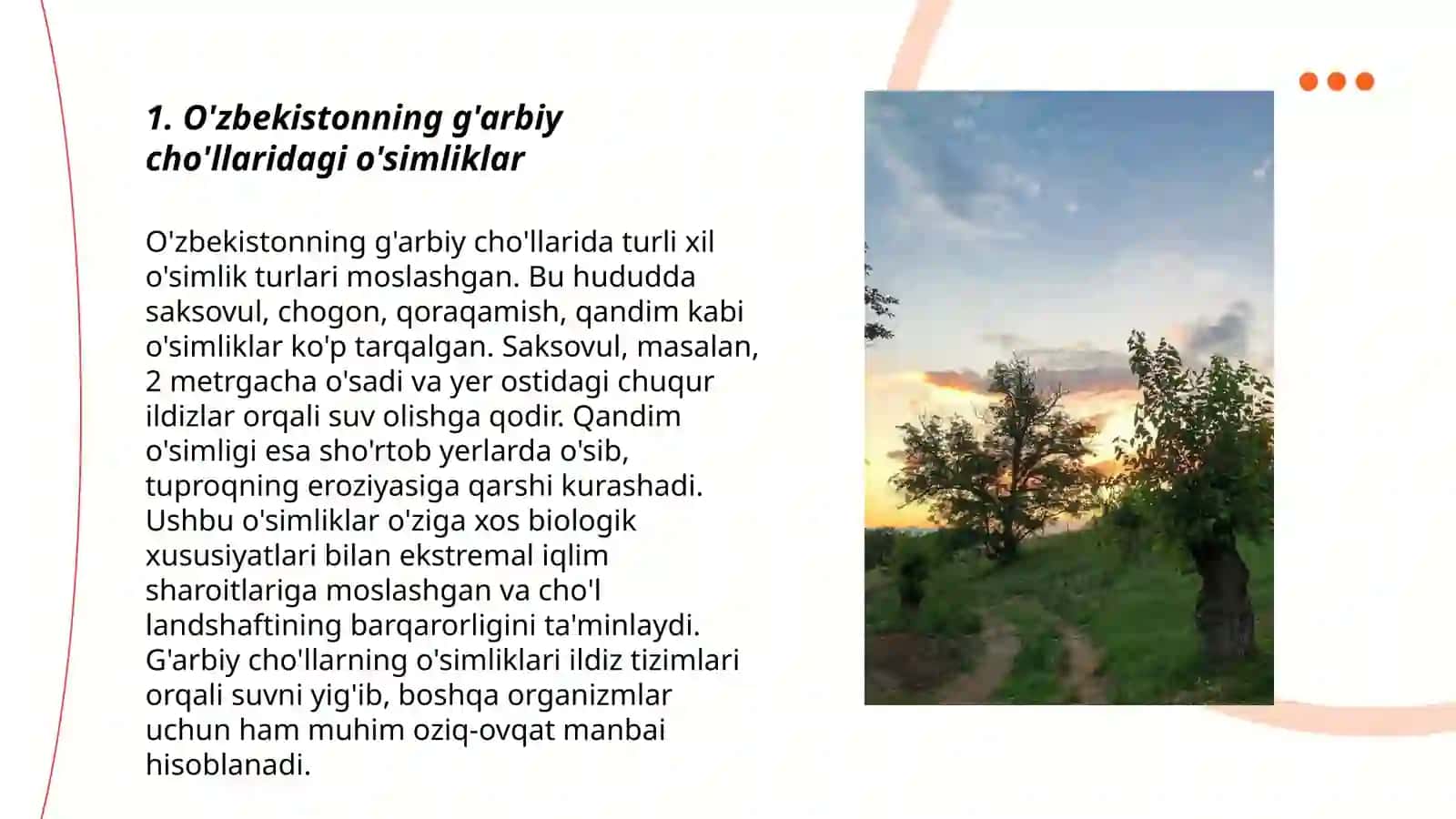 O'zbekistonning tog', cho'l, dashtlarida o'sadigan o'simliklar 3