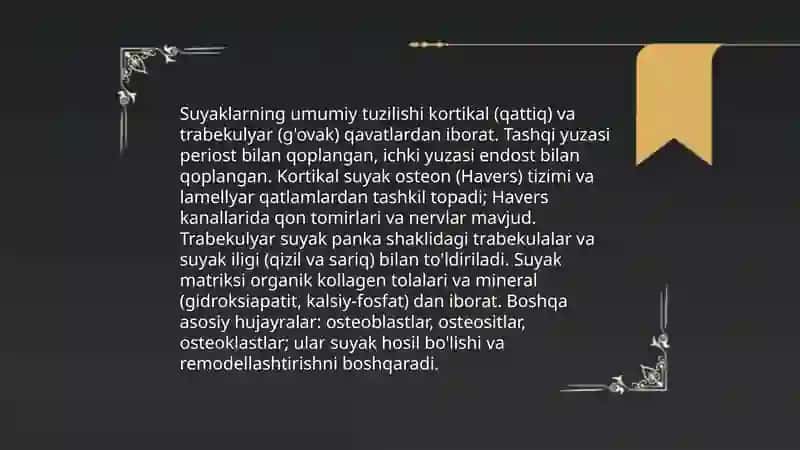 Suyaklar haqida malumot 3