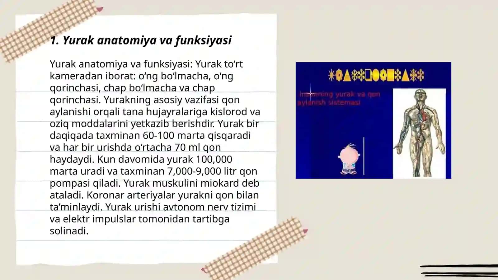 Qon aylanish sistemasi fiziologiyasi va boshqarilishi 3