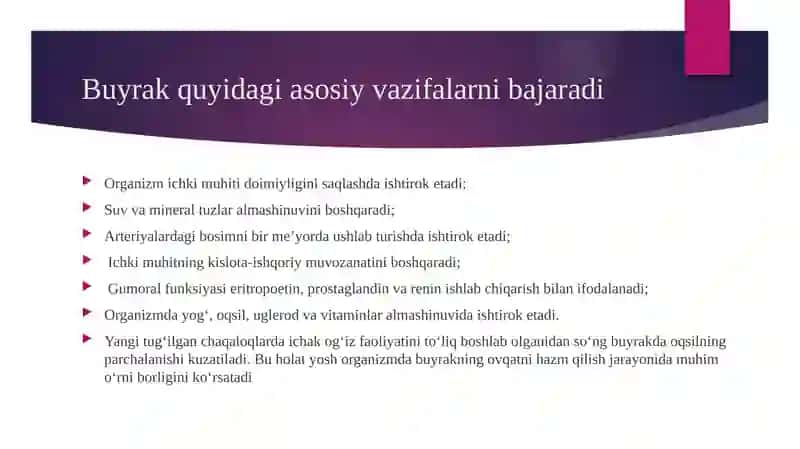 siydik ayiruv tizimi gistologiyasi 3