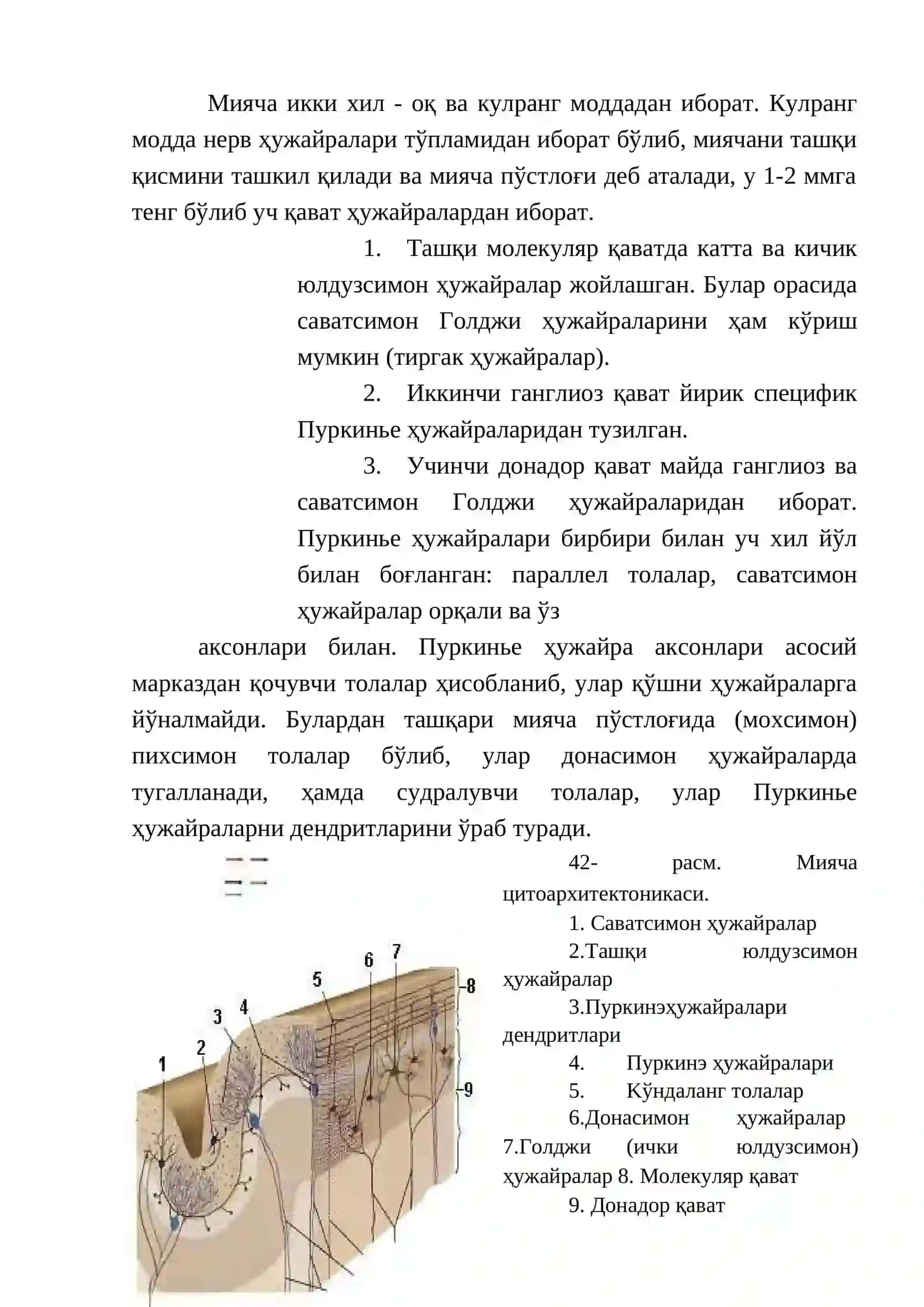 Координатор доира - тузилиши, вазифаси, текшириш усуллари, патологияси ва зарарланиш синдромлари 3