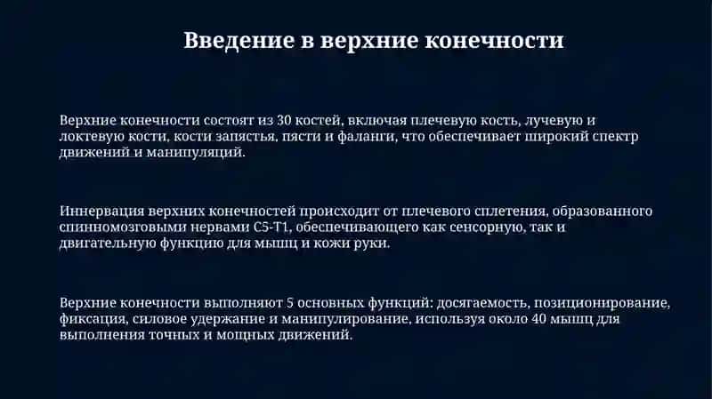 Верхние конечности 3
