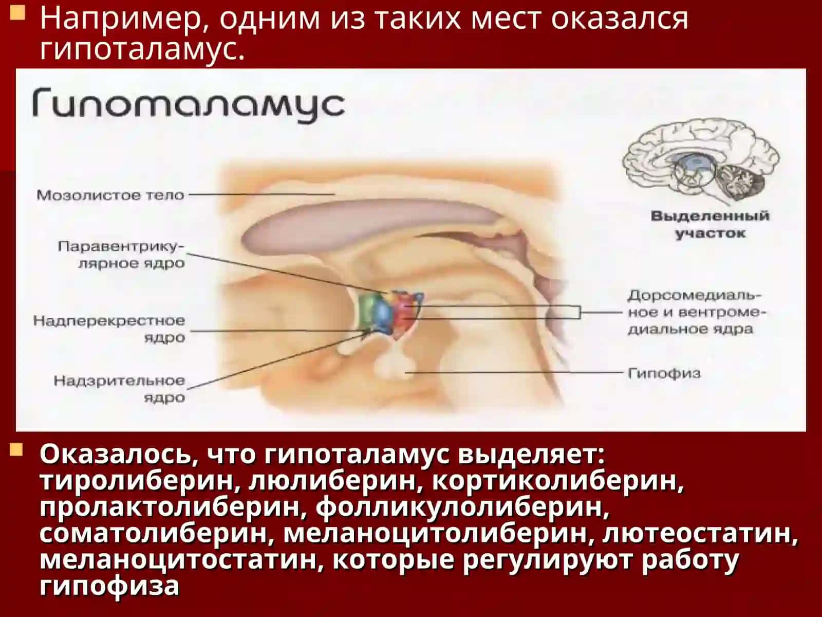 ФУНКЦИОНАЛЬНО-ДИАГНОСТИЧЕСКИЕ МЕТОДЫ ИССЛЕДОВАНИЯ ПРИ ЗАБОЛЕВАНИЯХ ЭНДОКРИННОЙ СИСТЕМЫ 3