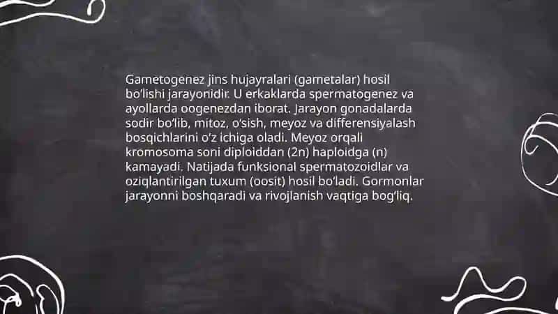 Hujayra ontogenezining rivojlanish bosqichlari 3