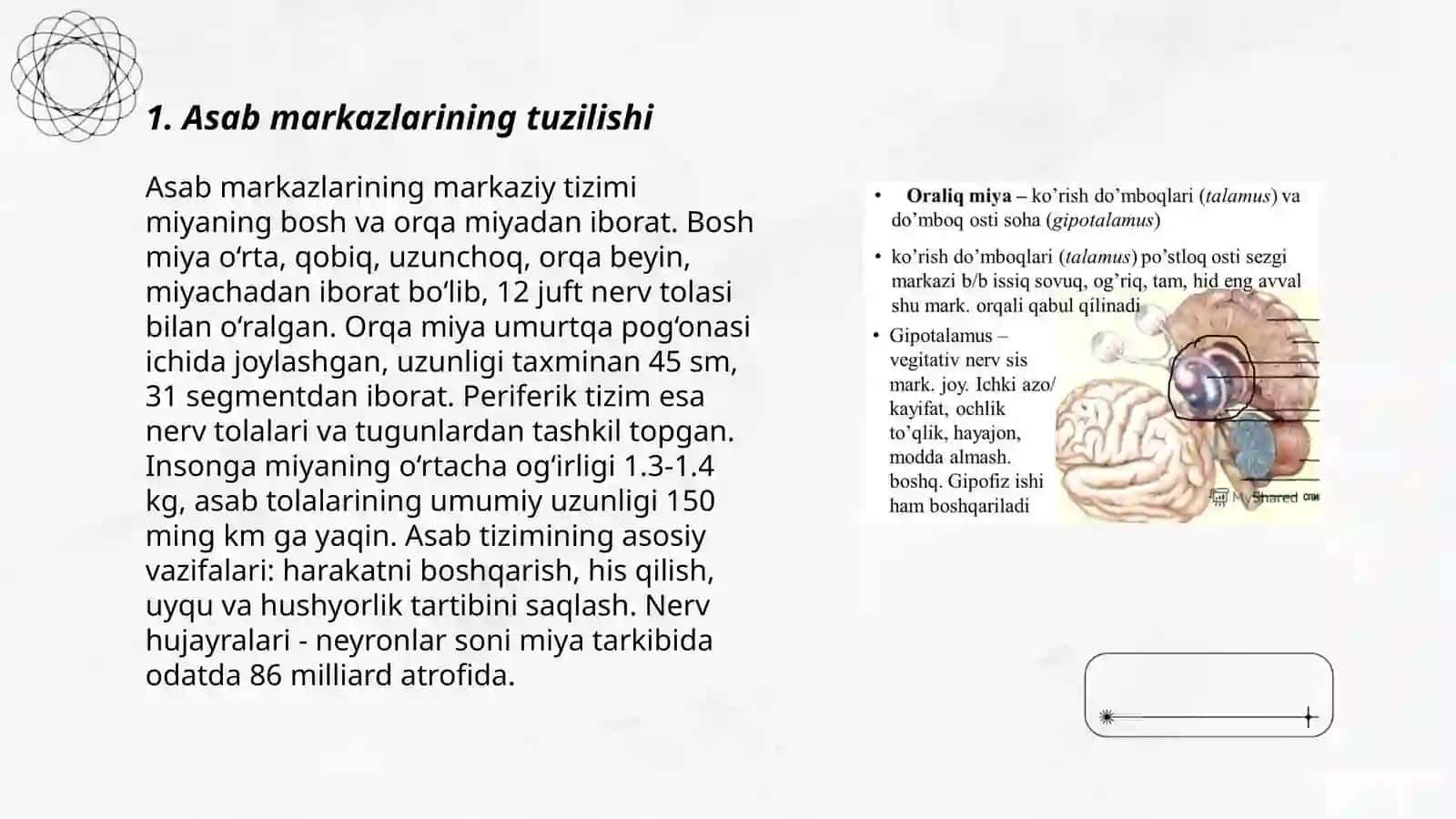 Asab markazlarining oʻziga xosligi 3