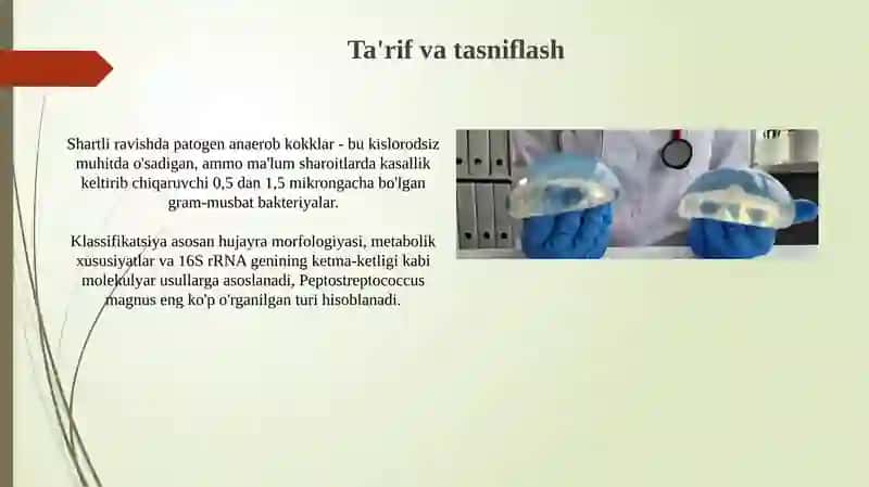 Shartli patogen anaerob kokklar va ularni xirurgik va ginekologik kasalliklardagi ahamiyati 3