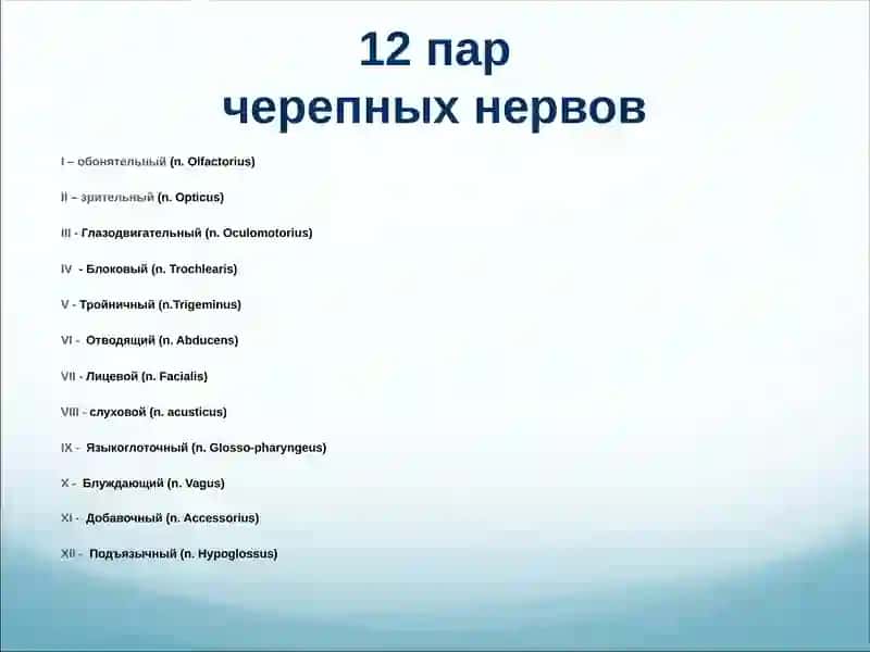 Черепные нервы 3
