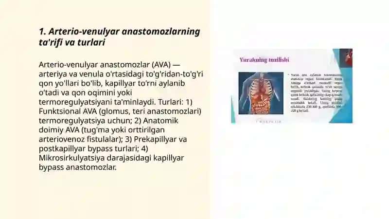 Arterio-venulyar anastomoz. Kapillyarlar. Yurakni taraqqiyoti va tuzilishi. Chaqaloq yuragi 3