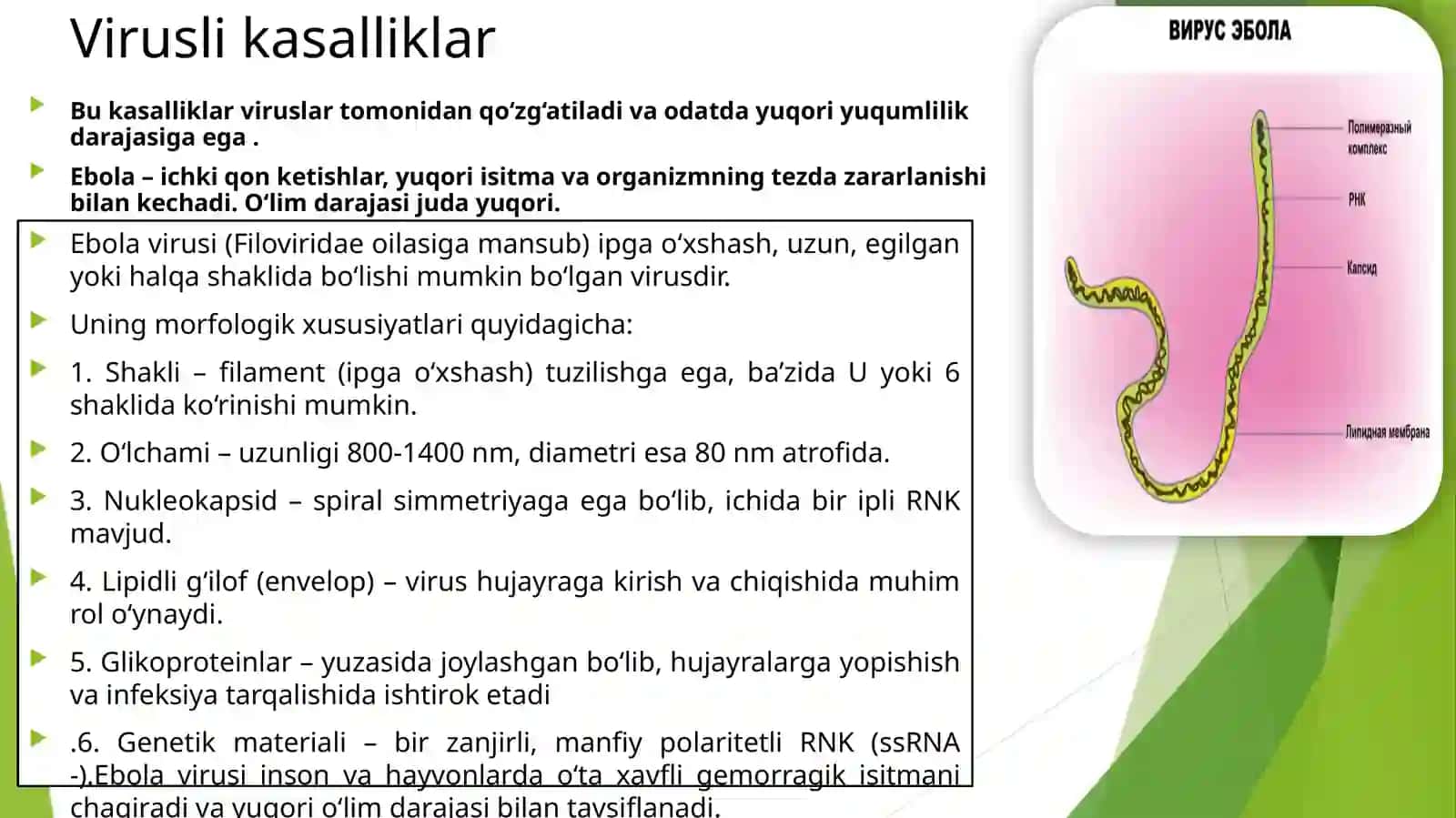 Mikrobiologiya,VirusalogiyavaImmunologiyafanidan tayyorlagan taqdimoti 3