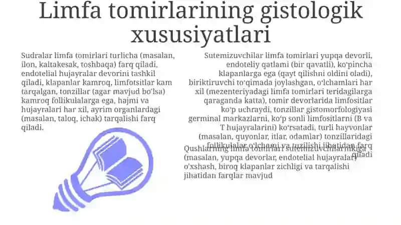 Hayvonlarda limfa tomirlari, bodomsimon bezlar gistomorfologiyasi 3