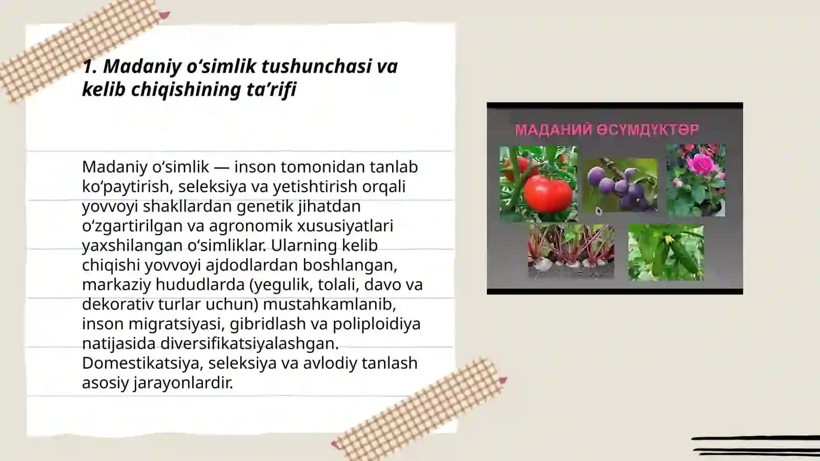 Madaniy oʻsimliklarning kelib chiqishi 3