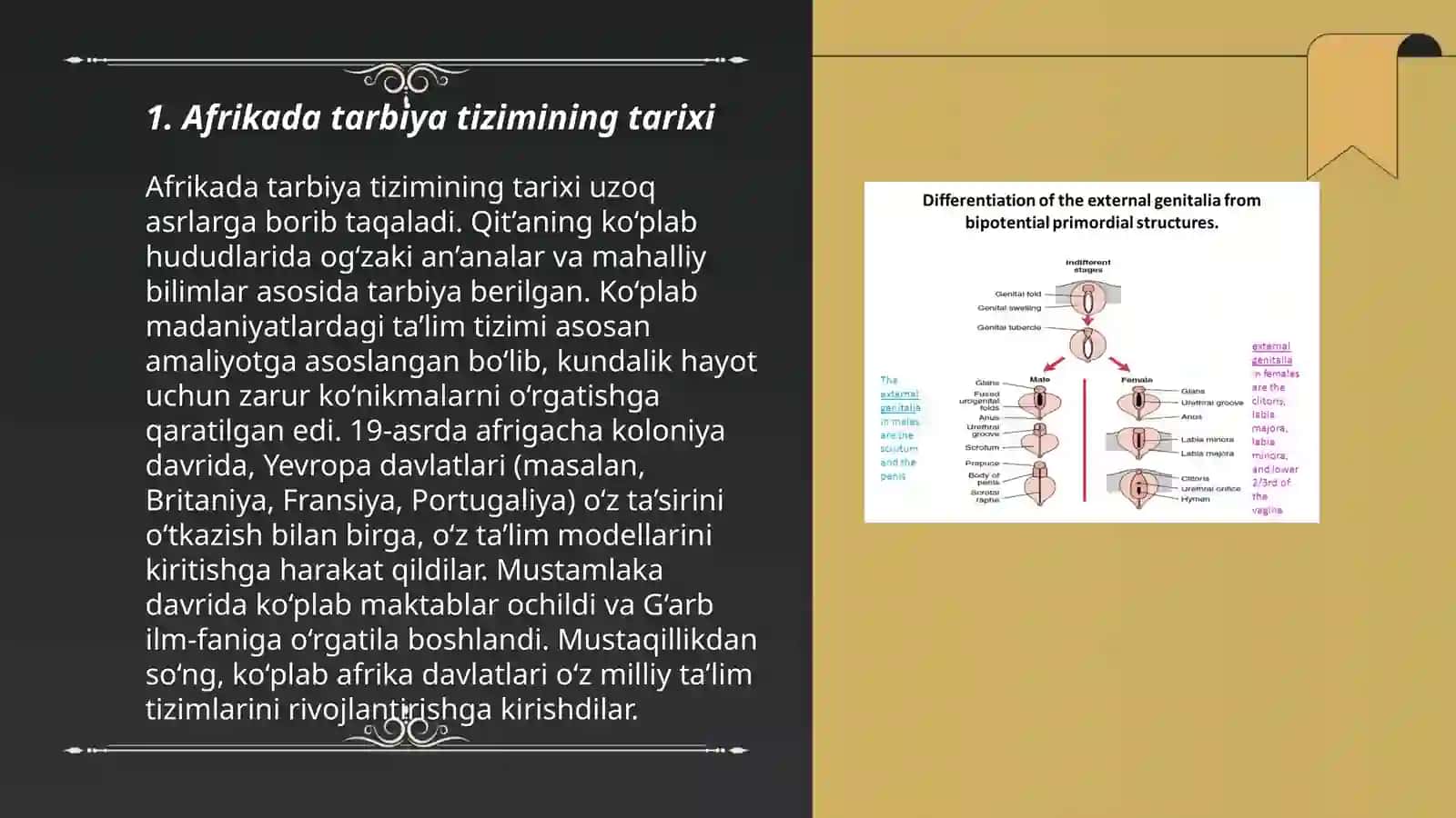 Afrikada talim muommolari va tarbiya jarayonlari 3