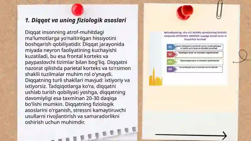Diqqat haqida tushuncha va uning nerv fiziologik asoslari 3