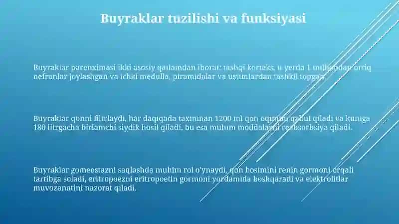 Siydikhosilqilish va ajratish jarayonlari 3