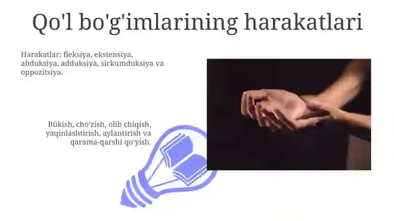 Qo'lning erkin suyaklarining birlashmalari 3