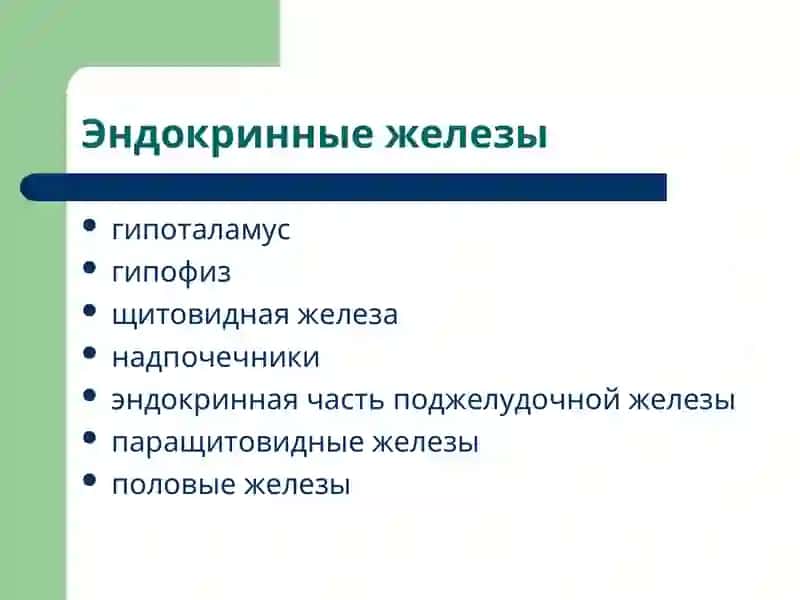 Патофизиология энокринной системы 3