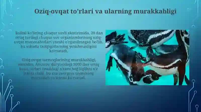 Suv muhiti hayvonlari trofik aloqalari 3