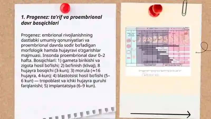Progenez: taʼrif va proembrional davr bosqichlari 3