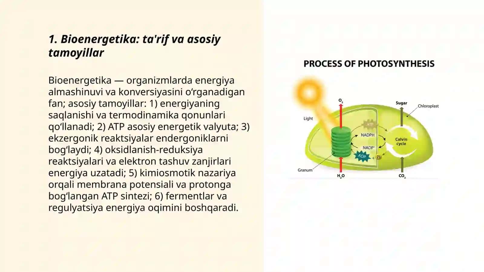 Bioenergetikaning asosiy tushunchalari 3