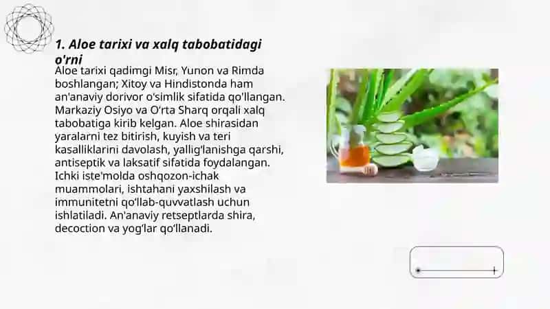 Aloe tarixi va xalq tabobatidagi o'rni 3