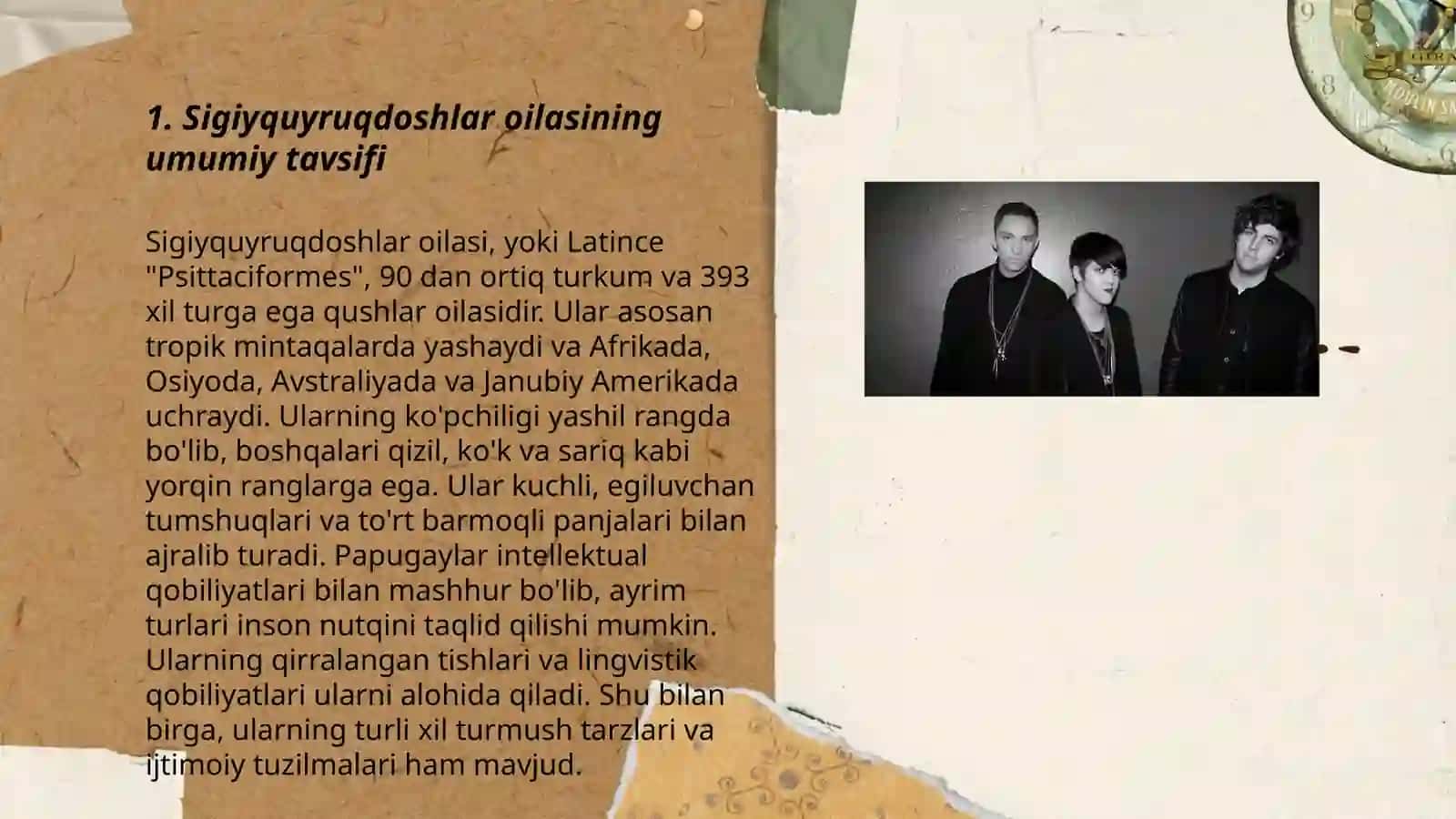Sigiyquyruqdoshlar oilasi tavsifi va sistematik tarqalish va ahamyati 3
