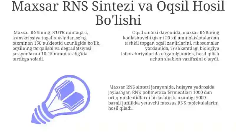 Maxsar RNS Sintezi va Oqsil Hosil Bo'lishi 3