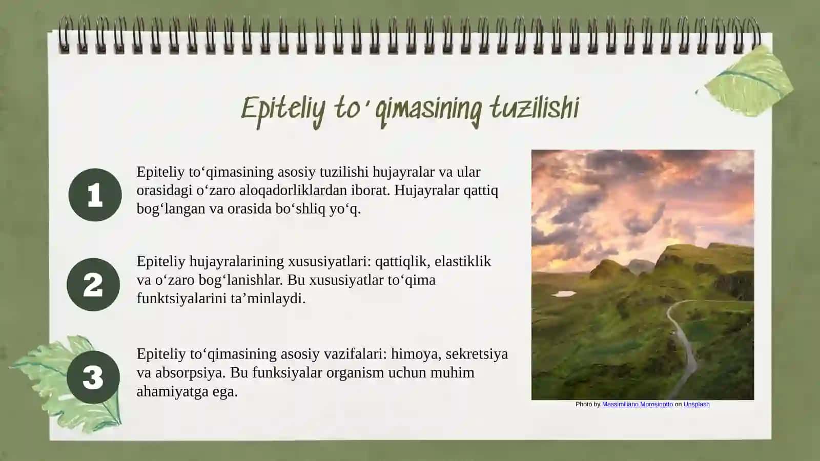Epiteliy to‘qimasining tuzilishi, turlari va vazifalari 3
