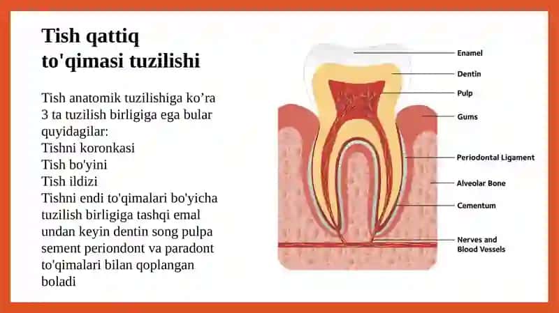 Tishqattiq to'qimalar kasaliklarida qo'shimcha tekshiruv usullari 3