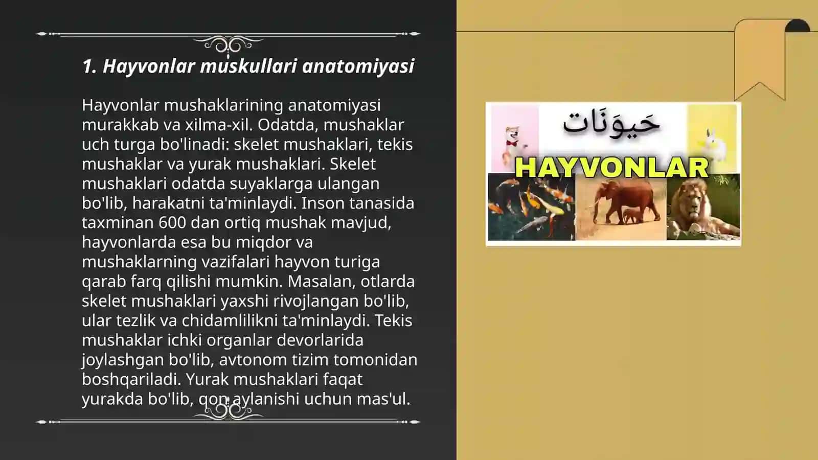 Hayvonlarning muskullari. Lotincha nomlanishi 3