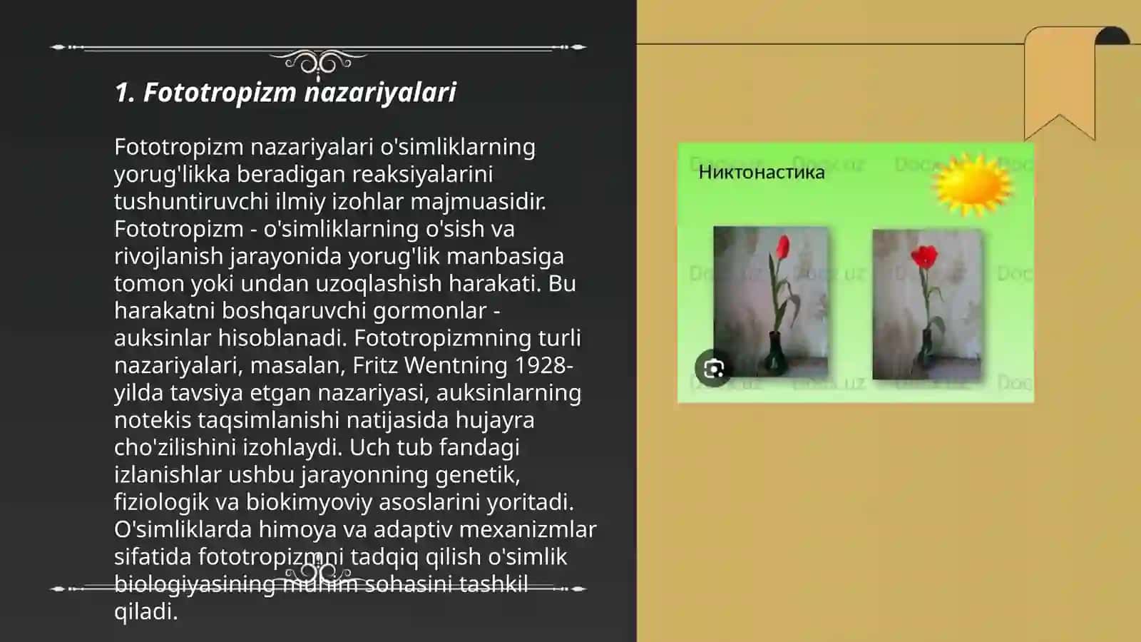 O'simliklarda fototropizm, fotonastiya,geotropizm hodisalarni kuzatish 3