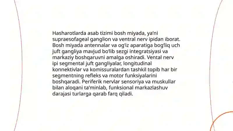 Hasharotlarning nerv, qon aylanish va ayiruv sistemalari 3