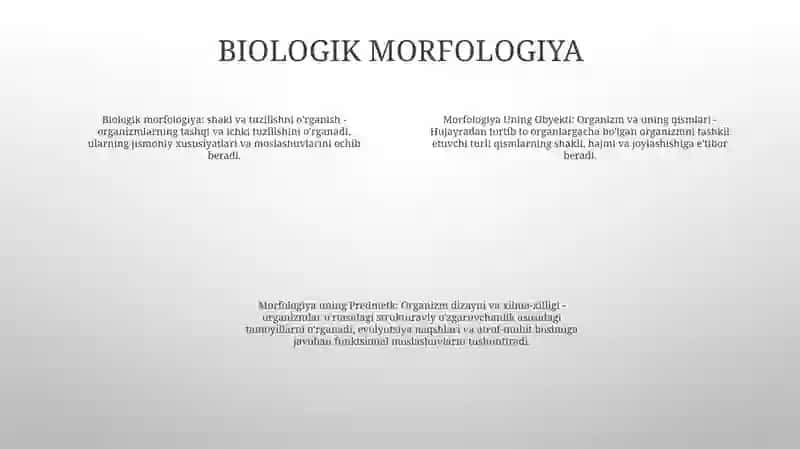 Morfologiya Uning Obyekti Va Predmeti 3