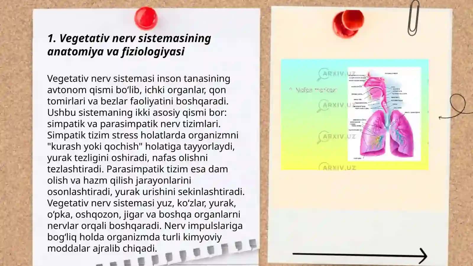 Vegetativ nerv sistemasi faoliyatini oʻrganish 3