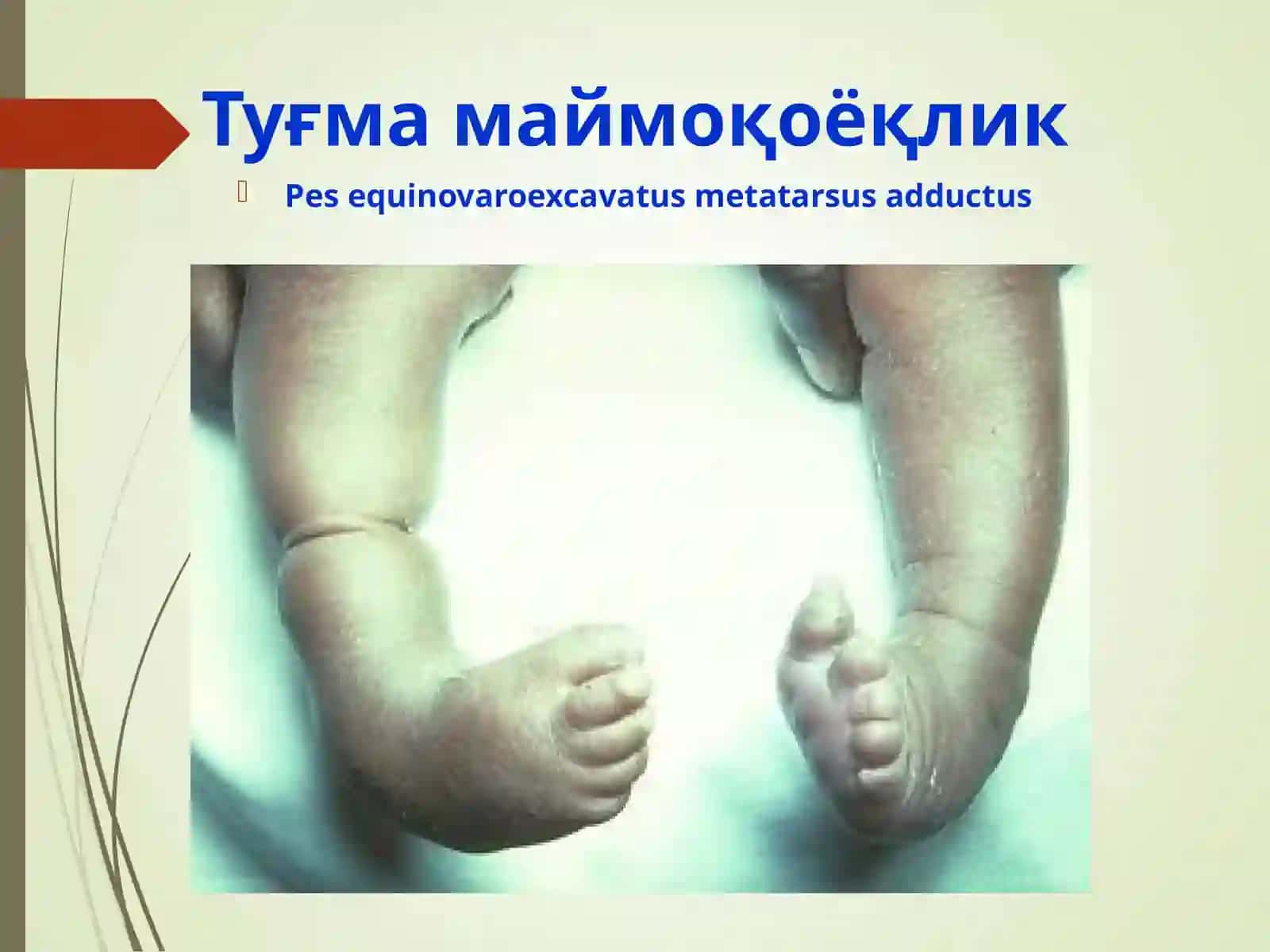 MAYMOQOYOQLIK.  YASSIOYOQLIK. 3