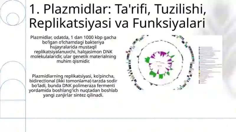 Bakterial irsiyatning xromosomadan tashqari omillari 3