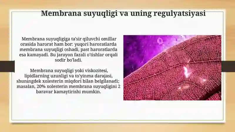 Biologik membranalarning tarkibi va funktsiyalari 3