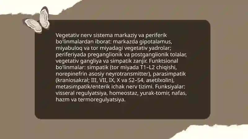 Vegetativ nerv sistemasi tuzilishi.Simpatik parasimpatik va metasimpatik nerv tizimlari 3