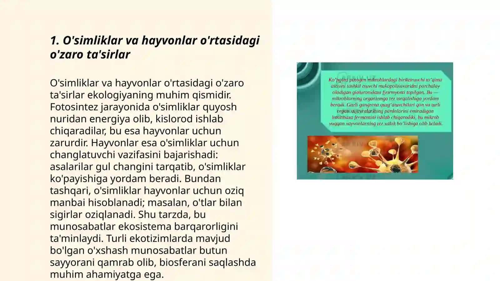 O'simliklar va hayvonlar o'rtasidagi o'zaro ta'sirlar 3