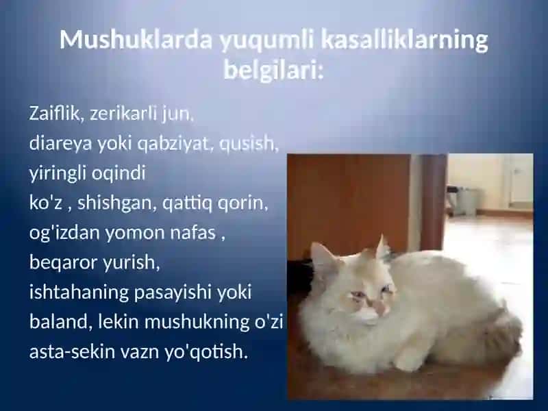 Gijjalarga jonivorlarga qarshi vositalar 3