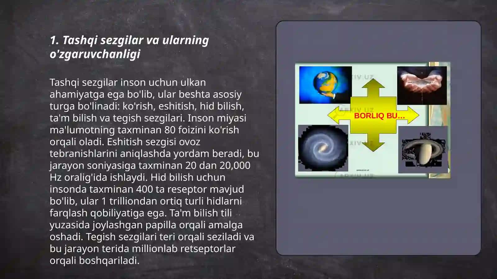 Sezgilarning o’zgaruvchan shakllari 3