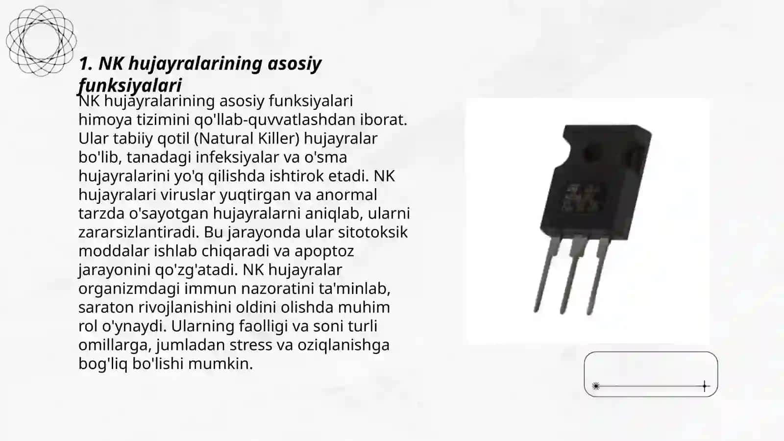 NK killerlar subpopulatsiyasi 3