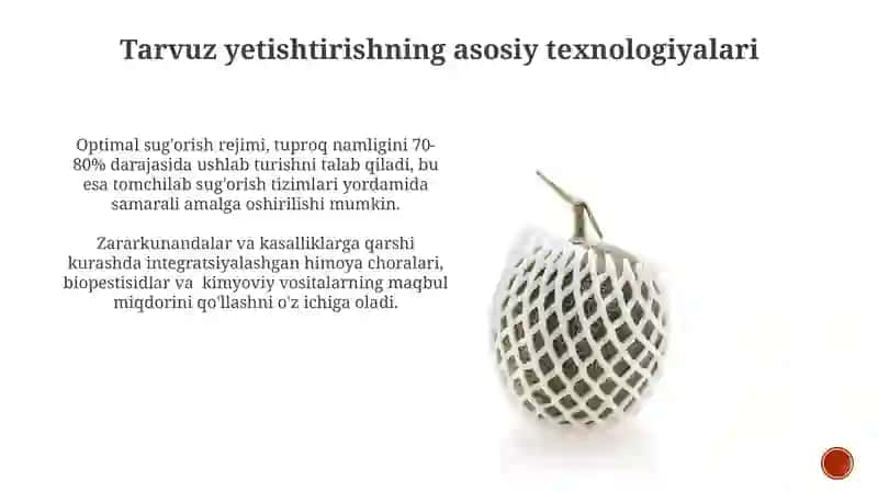 Qovun yetishtirish va texnalogik xarita tuzish 3