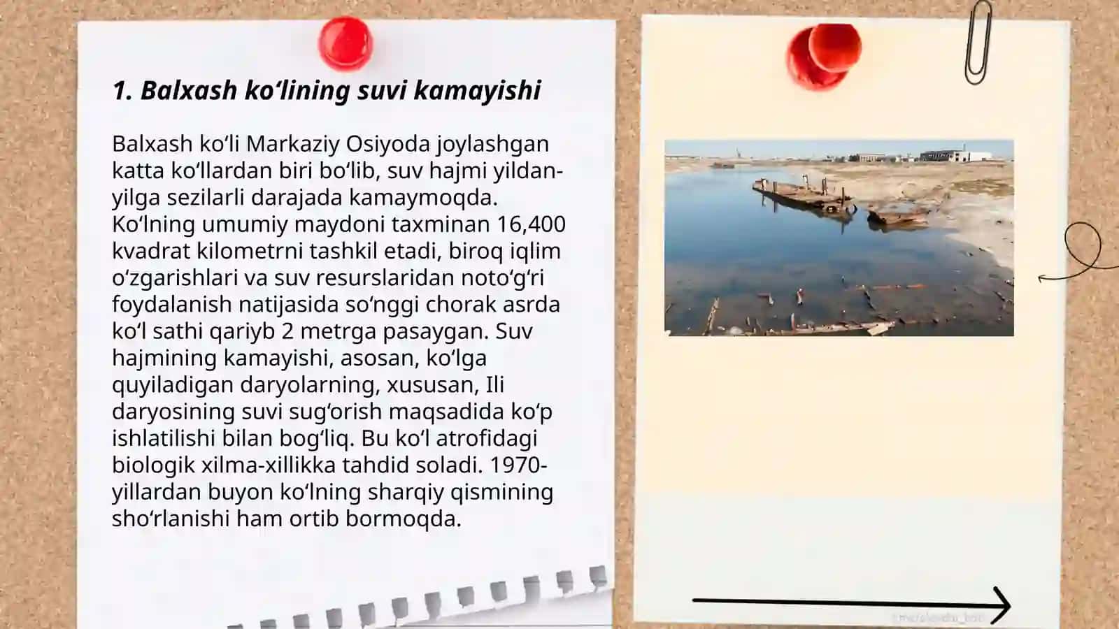 Balxash ko‘li muammosi. Issiqko‘l muammosi 3