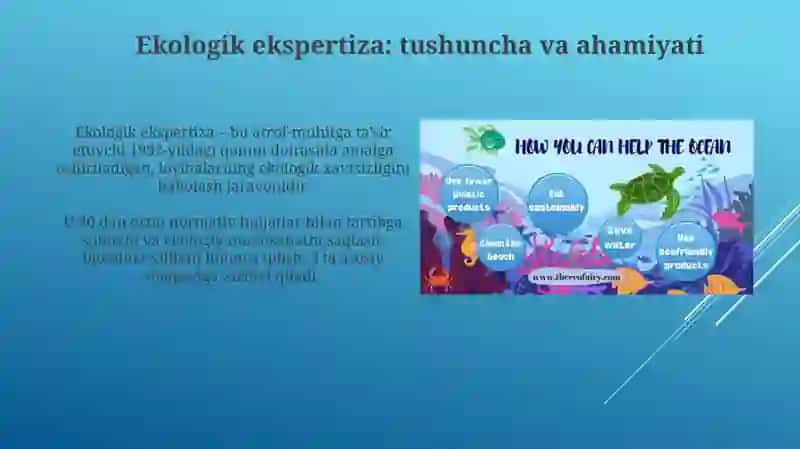 Ekologik ekspertiza 3