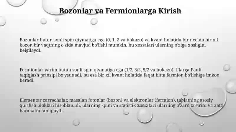 Bozonlar va Fermionlar. Pauli printsipi 3
