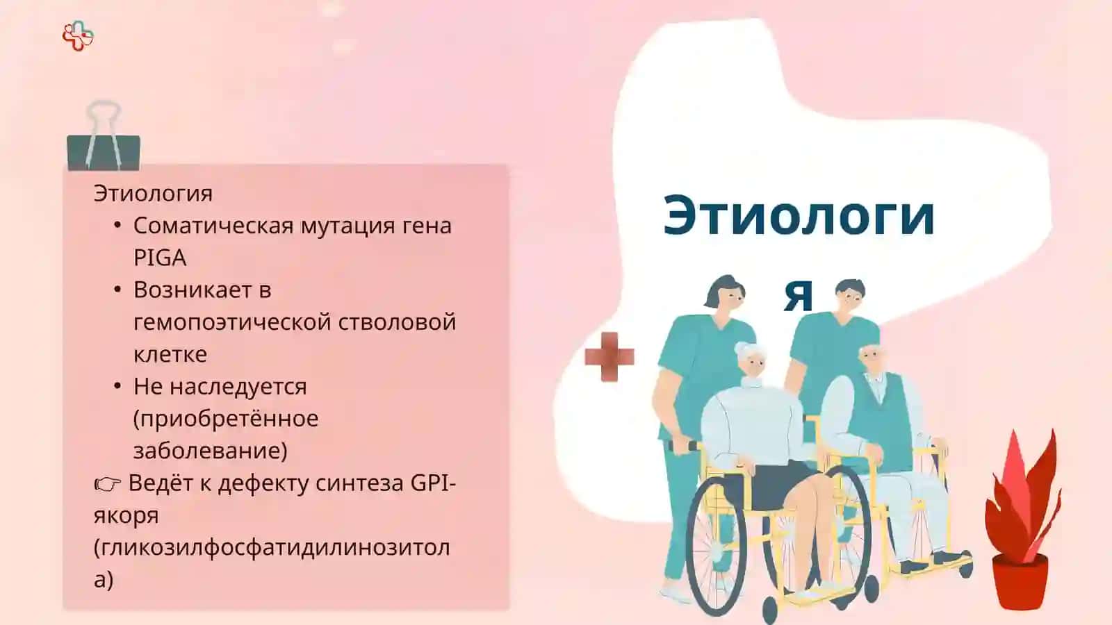 Пароксизмальная ночная гемоглобинурия(ПНГ) или болезнь Маркиафавы-Микели 3