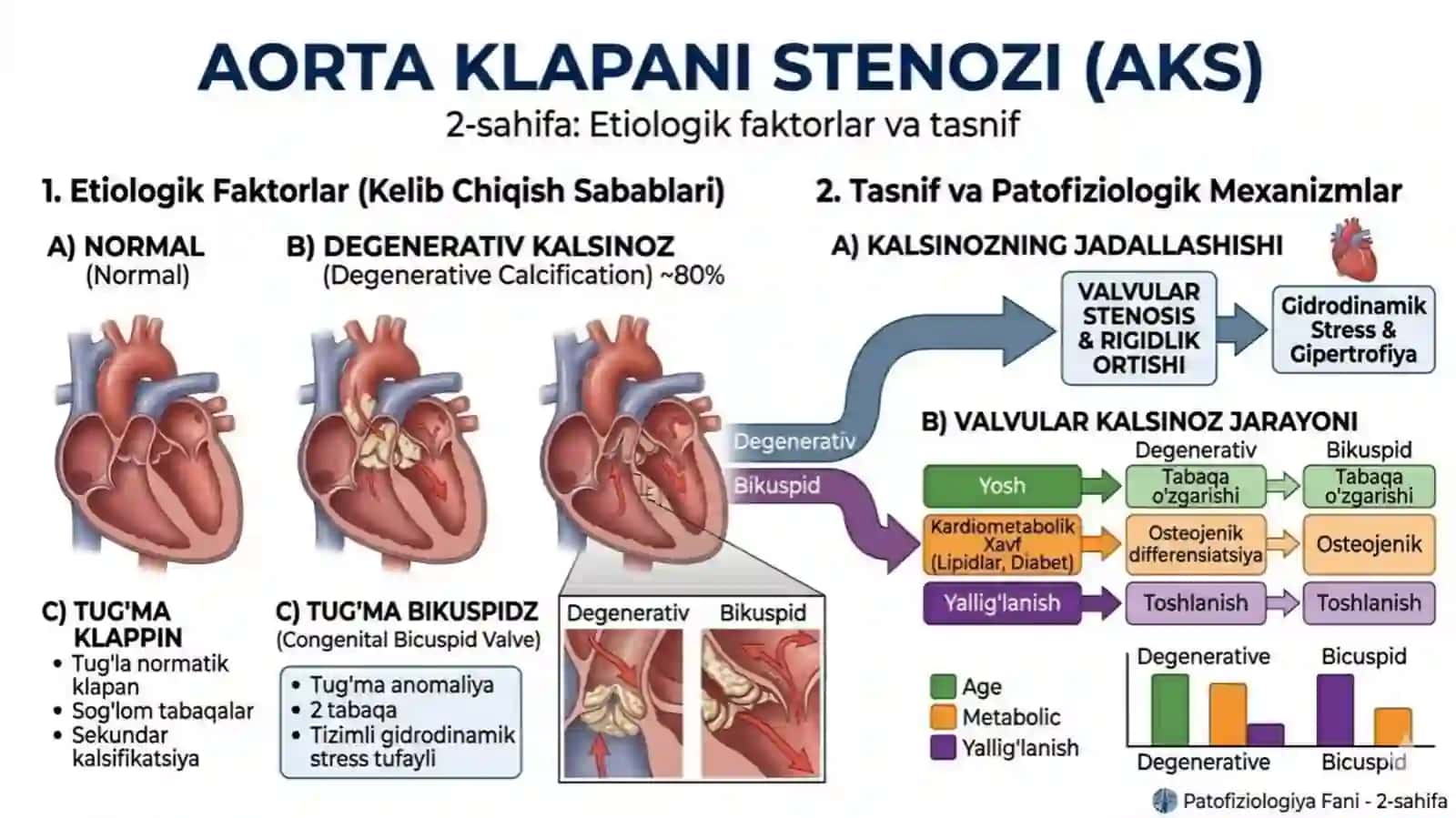 Aorta klapani stenozitaqdimot tibbi 3