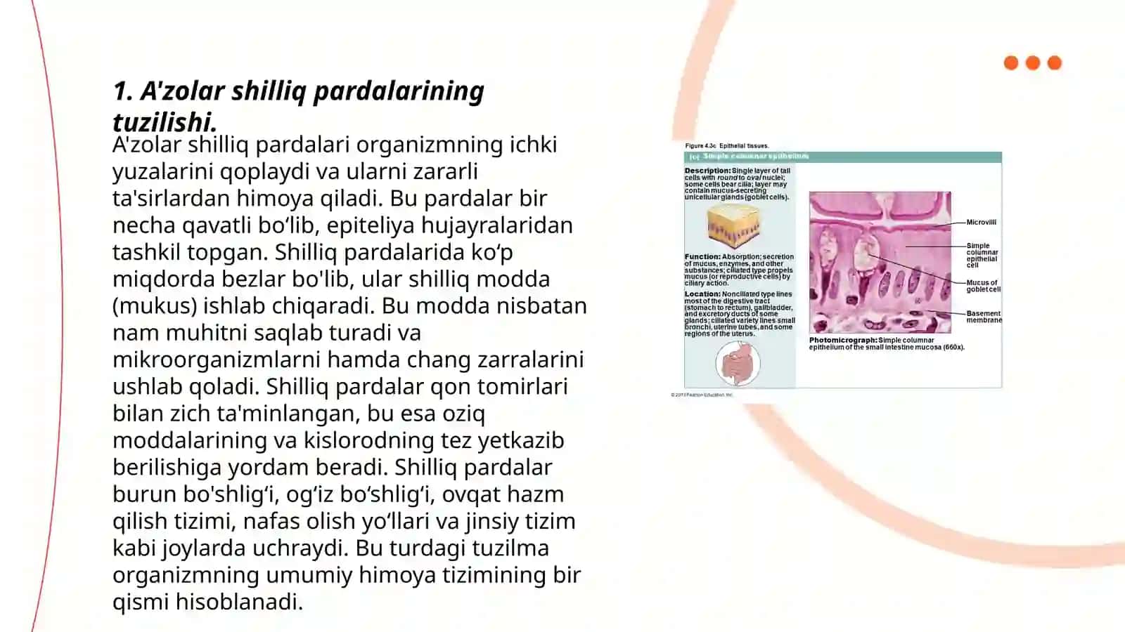 A'zolar shilliq pardalari tarkibidagi epiteleyning oʻziga xosligi 3