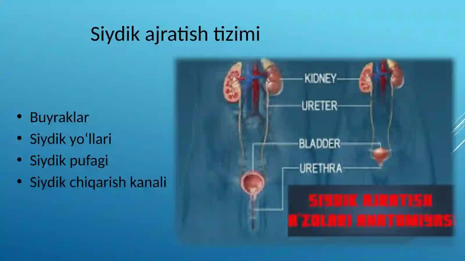 Tibbiyot kasbiga kirish 3
