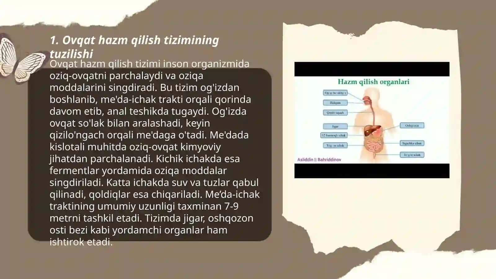 Ovqat hazm qilish tizimi 3
